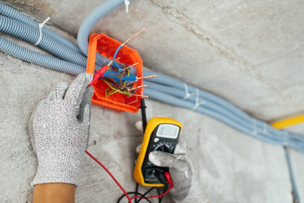 Best Affordable Electrician  in Clearwater, MN